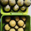 Cooksnap dari SIFA untuk resep Bolnut lembut (bolu nutrisari)