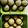 Cooksnap dari SIFA untuk resep Bolnut lembut (bolu nutrisari)