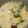 Cooksnap dari mommyhaddad untuk resep Sayur lodeh iris