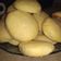 El cooksnap de Victoria S cuando hizo Masitas sabor vainilla.