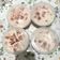 Cooksnap dari Candy untuk resep MANGO SAGO dessert kekinian