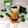 Cooksnap dari Nyanyah untuk resep Es Cincau Jelly Gula Aren Creamy