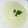 El cooksnap de Marina M cuando hizo Sopa de pepino.