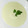 El cooksnap de Marina M cuando hizo Sopa de pepino.
