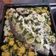 El cooksnap de Beratrix cuando hizo Corvina al horno!!!.
