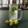 Zobia Sajjad's cooksnap of when they made CUCUMBER PEPPER COOLET #ramdankitayari #SummerDrinksContest.