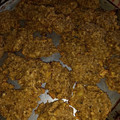 El cooksnap de Daniela Fernanda Ivanovich Ingravallo cuando hizo Galletas de avena, manzana y banana🍌🍎¡Apto vegano!.