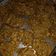 El cooksnap de Daniela Fernanda Ivanovich Ingravallo cuando hizo Galletas de avena, manzana y banana🍌🍎¡Apto vegano!.