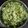 Sheerin S's cooksnap of when they made கொத்தமல்லி சாதம்(coriander rice recipe in tamil).