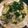 西風羽 的 蚵仔煎 cooksnap