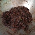 Cooksnap dari Dzaky Abdul untuk resep Kerang Kupas Kecap