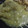 El cooksnap de Berenice Jasso cuando hizo Chicharrón en salsa verde.