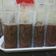 Cooksnap dari Rizka Aliyah untuk resep Puding Sedot (Pudot) Milo