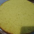 Cooksnap dari Tri Setyowati untuk resep Basic Vanila Sponge cake, lembut, no SP/BP
