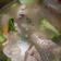 Cooksnap dari Ummu Asma untuk resep Sup ayam