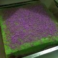 Cooksnap dari icha chasanah untuk resep Bolu Lapis Kukus