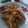 Cooksnap dari Nani sari untuk resep Jamur Tiram Krispy