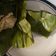 Cooksnap dari Viki Winar untuk resep Pepes tahu jamur tiram (PR_masakanbungkusdaun)