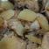 Cooksnap dari Alinda Cempaka Sari untuk resep Ayam Kukus Jahe Devina Hermawan