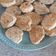 El cooksnap de Daniela cuando hizo Scones de queso rellenos de jamón.