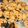 El cooksnap de Marialuz7a0 cuando hizo Galletitas de avena con pasas de uvas.