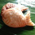 Cooksnap dari Nafisah Nabillah untuk resep Taiyaki ala mall