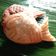 Cooksnap dari Nafisah Nabillah untuk resep Taiyaki ala mall