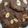 Cooksnap dari Jeny Soe untuk resep Double choco chocochip cookies