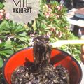 Cooksnap dari Nmsalya untuk resep Mie Akhirat
