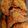 april420's cooksnap of when they made Crispy Baked Chicken.