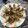 El cooksnap de font-mb cuando hizo Ensalada de endivias con almendras, tomate cherry y sardinas picantes.
