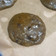 Cooksnap dari Shyswy untuk resep Matcha Soft Cookies