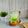 Cooksnap dari Ayu (Mama Aura) untuk resep 449. Es Kelapa Syrup Melon