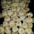 El cooksnap de elquidam cuando hizo Scons.