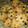 El cooksnap de Stellita 💫 cuando hizo Galletas de Avena y coco.