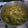Cooksnap dari Yetty Herawaty untuk resep Soto Ayam Kampung Maknyuss
