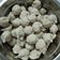 Cooksnap dari Helen Tanuwan untuk resep Bakso Ayam Padat Tidak Lembek