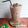 Cooksnap dari Mama fathan untuk resep Milo dinosaur ice