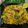 Shital Jataniya's cooksnap of when they made Batata Poha.