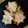 El cooksnap de Monica Peñaloza cuando hizo Crackers de cúrcuma y queso🗻.