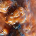 El cooksnap de Melileli cuando hizo Albóndigas con pasas de uva.
