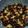 Shazia Shakir's cooksnap of when they made Black chickpeas.
