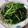 Rita 的 炒菠菜 cooksnap