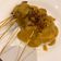 Cooksnap dari mita untuk resep Sate Padang (Khas Padang)