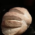 El cooksnap de Giselle cuando hizo Pan Casero🍞.