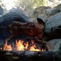 El cooksnap de Jorge Osorio Araya cuando hizo Salmuera con chimichurri para adobar carnes.