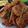 Cooksnap dari Maryani Carlim untuk resep Bacem Tempe pedas manis