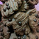 Cooksnap dari Nova Mila untuk resep Choco Chips Cookies
