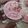 Cooksnap dari Kodok Piggy untuk resep Cupcake kukus coklat simple (no mixer)