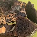 Cooksnap dari Yurika Dibba Destari Diredja untuk resep Fudgy brownies kurang shiny crust no mixer